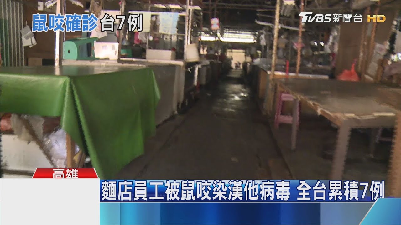 麵店女員工被鼠咬染漢他病毒 全台累積達7例
