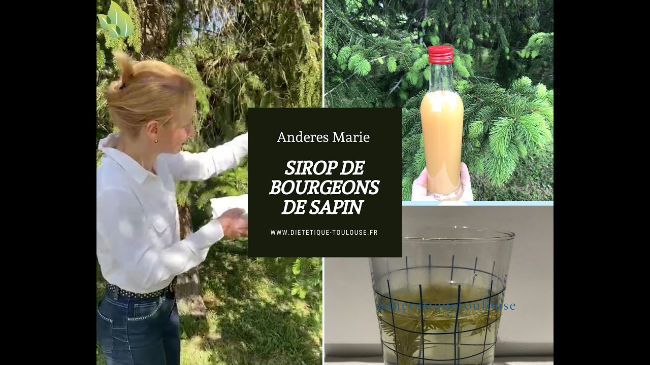 Le sirop de bourgeons de sapin : le goût et la santé, ANDERES Marie