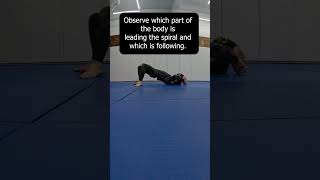 Budokon Mobility - The Concept of Spirals