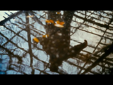 Freestyle Series #01