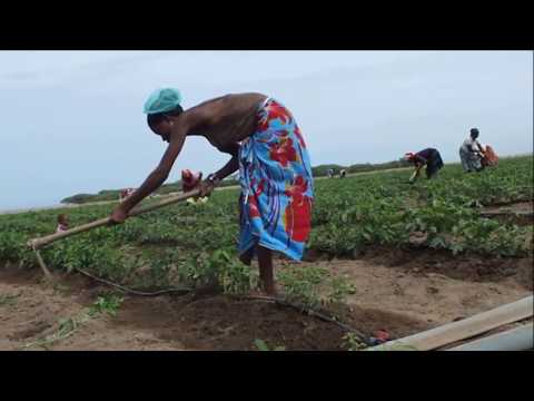 Welcome to unseen Angola