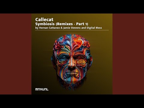 Beyond Perceptions (Hernan Cattaneo & Jamie Stevens Remix)