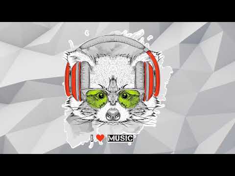 SeSa ft. Sharon Phillips - Like This Like That (HAIPA Remix)