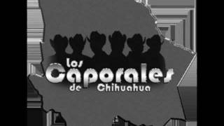 La yaquesita Los Caporales De Chihuahua