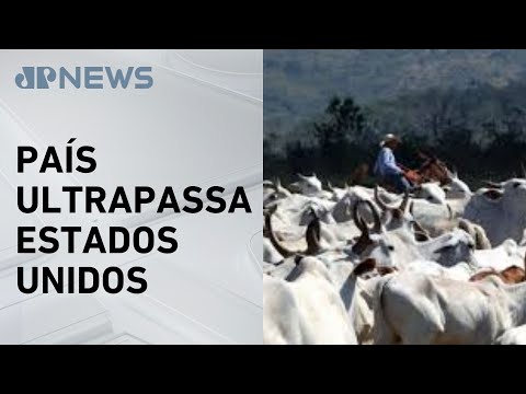 Brasil se torna o maior produtor de carne bovina do mundo
