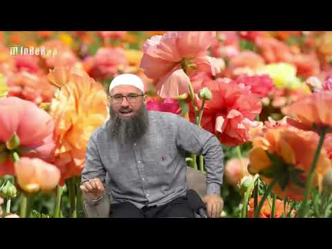 Ispravno uzimanje gusula (čišćenje od džunupluka) - Elvedin Pezić