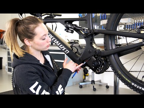 Lupine E-bike light mounting on Specialized Turbo Levo