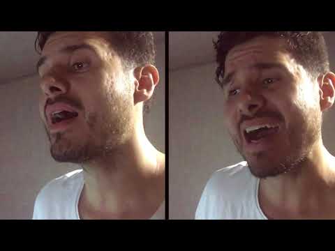 Te voy a amar (Andrés Cepeda - Cali y el Dandee) A cappella cover