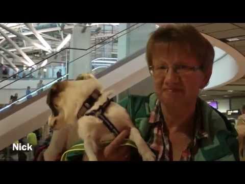 Ankunft in Hamburg am 4.10.2015