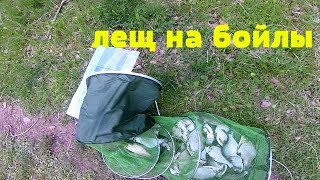 Пелетс при ловле леща