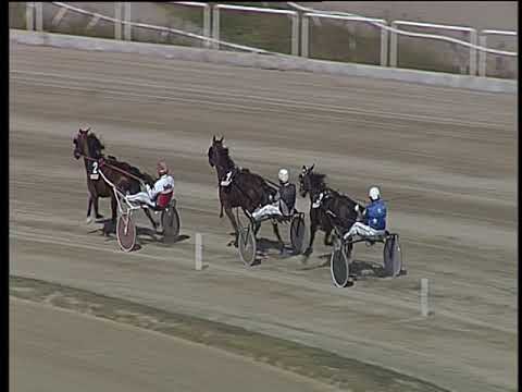 Trotto 28/09/2018 - 2ª prova di qualifica