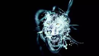 Wolf - Tungevaag &amp; Raaban