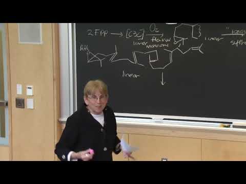 21.コレステロール生合成3＆コレステロール恒常性1 (21. Cholesterol Biosynthesis 3 & Cholesterol Homeostasis 1)