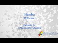 Q Twins ft DJ Tira - Hamba Lyrics