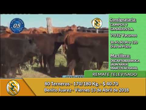 13-4-18 - Remate Televisado de Campos y Ganados S.A. - Benito Juarez