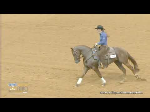 SJR Starlit Rey ridden by Erin L Taormino - 2019 Snaffle Bit Futurity (Rein - Open Prelims)