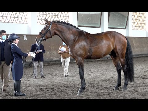 210424 9 Itálico - Aprovação de Garanhões