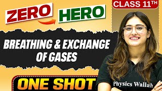 Breathing & Exchange of Gases | Full Chapter in ONE SHOT | Chapter 14 | Class 11 Biology 🔥