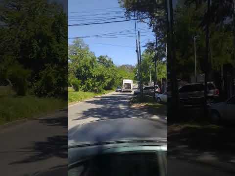 Tigre zone, Buenos Aires prov., Argentina, 8/2025 tour