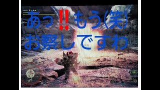 【MHＷ】《弓視点》　ヒロボーは空と大地を弓で貫けるのか！？