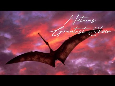 A Tribute to Paleomedia - The Greatest Show (Updated)