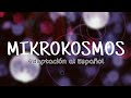 BTS (방탄소년단) 'Mikrokosmos' 《소우주》 | Adaptación al Español BTS (방탄소년단) 'Mikrokosmos' 《소우주》 | Adaptación al Español