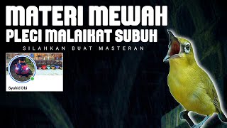 Download lagu 🔴 LIVE Masteran Pleci Mewah Malaikat Subuh Syahid DBI solo mp3 Download lagu 🔴 LIVE Masteran Pleci Mewah Malaikat Subuh Syahid DBI solo mp3