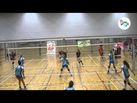 Flamingo's '56 - Ecare Apollo 8