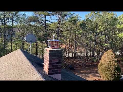 A Shocking Way to Prevent Turkey Vultures from Roosting on the Roof in Far Hills, NJ