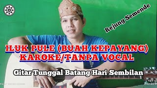 Download lagu ILUK PULE (BUAH KEPAYANG) karoke Lirik tanpa Vocal #LaguBatangHariSembilan #buahkepayang mp3