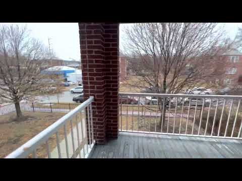 The Field Club - Video 2 of 2