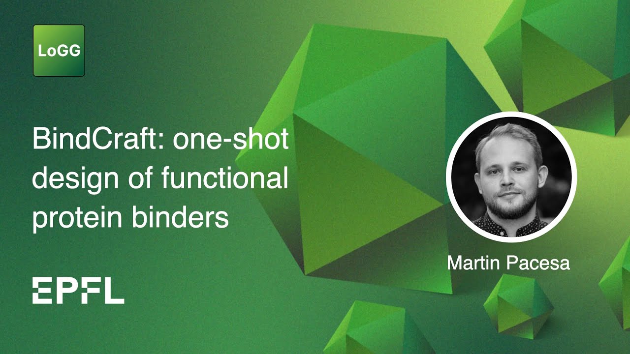 BindCraft: one-shot design of functional protein binders