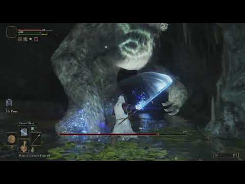 Base Astrologer Build vs Runebear Boss