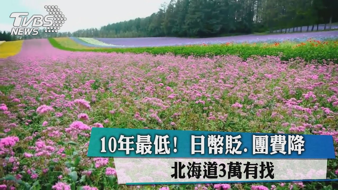 10年最低！日幣貶、團費降　北海道3萬有找