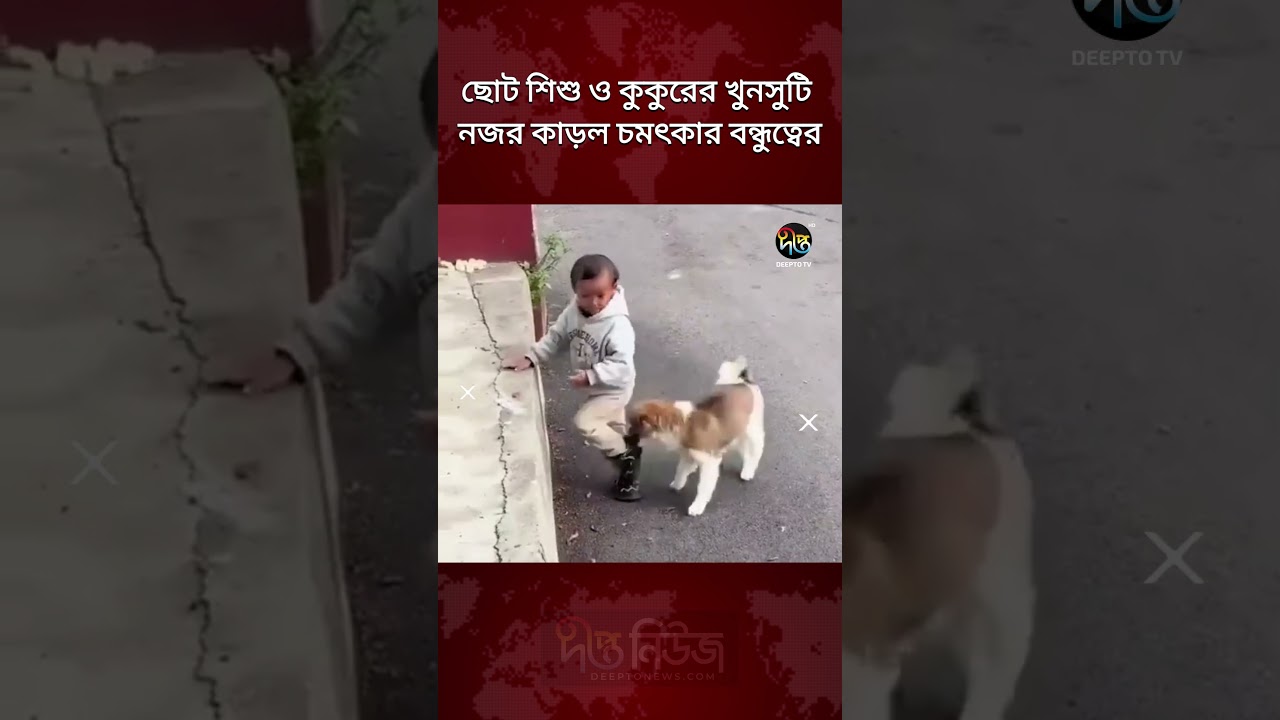 ছোট শিশু ও কুকুরের খুনসুটি নজর কাড়ল চমৎকার বন্ধুত্বের | Baby And Dog | Friendship | Deepto News
