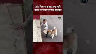 ছোট শিশু ও কুকুরের খুনসুটি নজর কাড়ল চমৎকার বন্ধুত্বের | Baby And Dog | Friendship | Deepto News