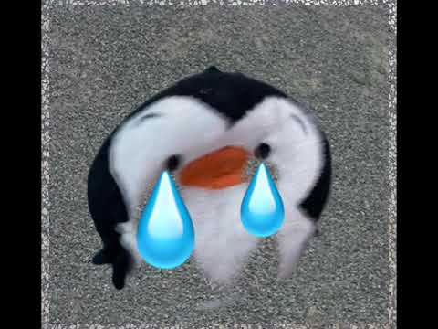 Lil Timmy - Poopy (with Lil Bobby) [Official Audio]