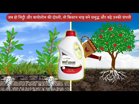 Organic carbon & soil health fertility enhancer