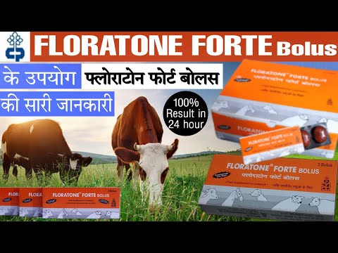 Floratone Forte Bolus Veternary Tablet