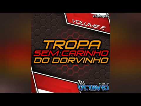 TROPA SEM CARINHO (VOLUME 02) - DJ OCTAVIO RS