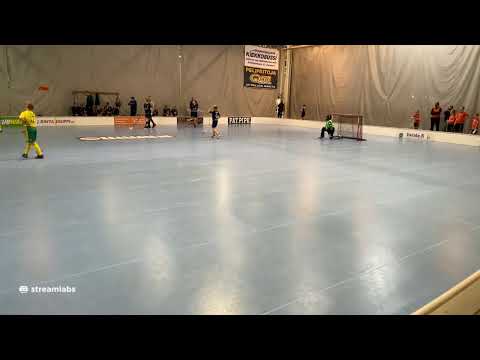 14.11.20  Pirkat white - Ilves west