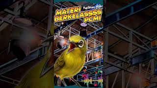 Download lagu Masteran Pleci Materi Lomba Pcmi Terbaru mp3