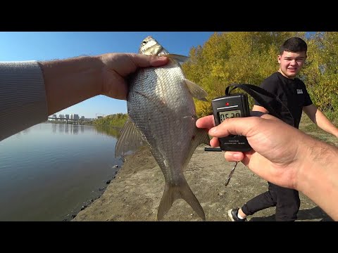 Фото Рыбалка в городе 2021. Тура. Бабье лето в Тюмени.