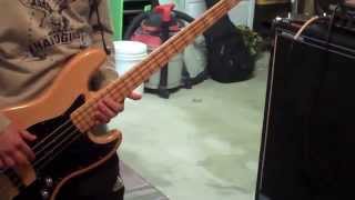 Such Gold - Sycamore (Bass Cover)