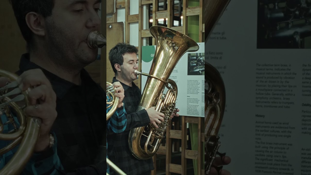 Crazy Brass Short