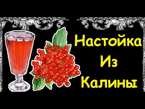Настойка Из Калины / Книга Рецептов / Bon Appetit