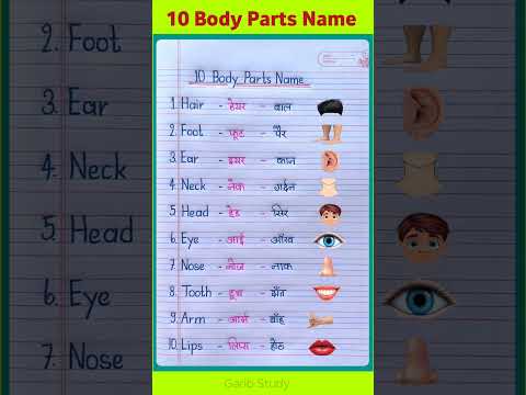 10 Body Parts Name in English and Hindi | Body Parts Name | Human Body Parts Name #shorts #words