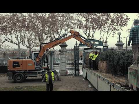 Plantation unique au coeur de l'Université Lyon 2