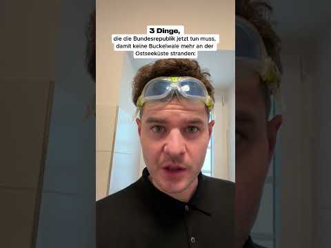 Drei Dinge #2