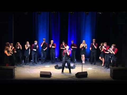 Wrecking Ball - Redefined Acappella (Miley Cyrus cover)